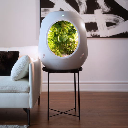 Smart Indoor Garden