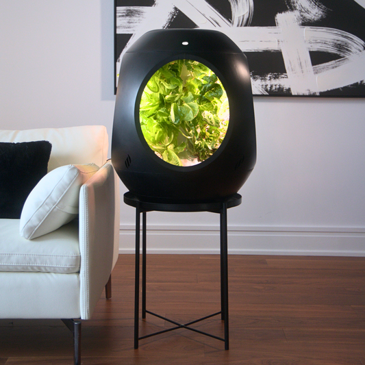 Smart Indoor Garden