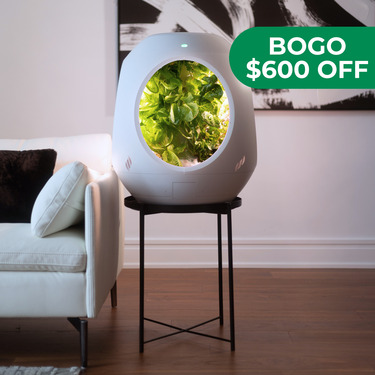 Jardin d'intérieur intelligent - Offre groupée BOGO