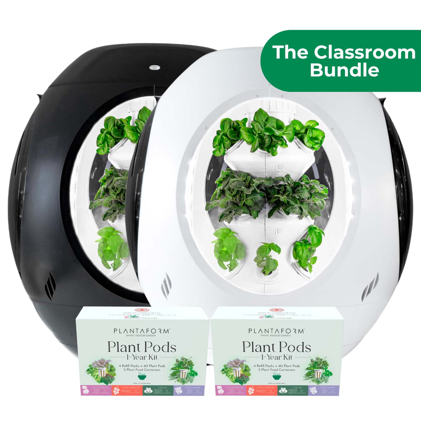 The Classroom Bundle