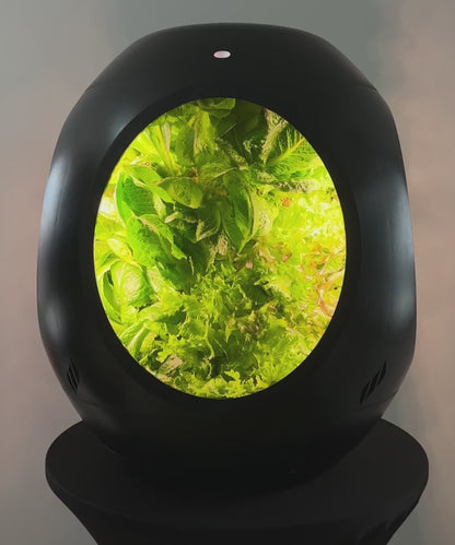 Jardin d'intérieur intelligent - Offre groupée BOGO