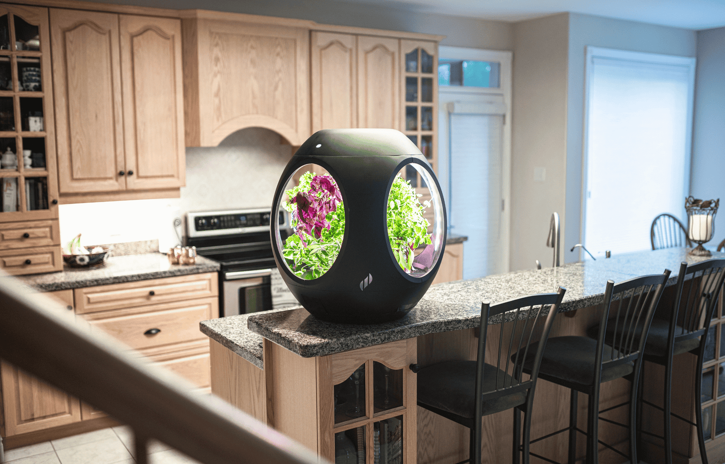 Rejuvenate by Plantaform Smart Indoor Garden. Rejuvenate grows vegetables, herbs, flowers, edible flowers, and plants.