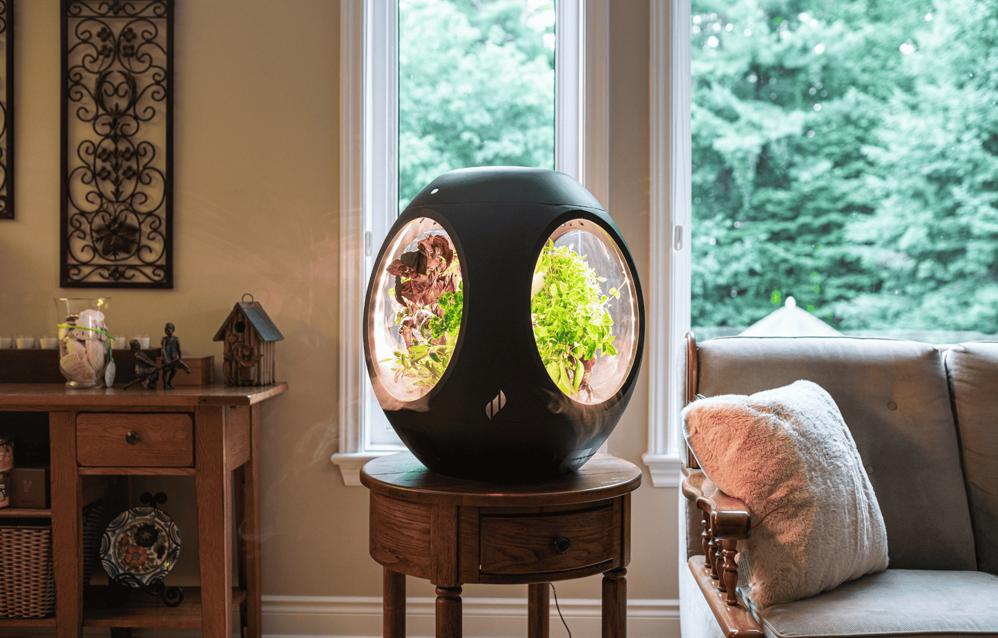 Rejuvenate by Plantaform Smart Indoor Garden. Rejuvenate grows vegetables, herbs, flowers, edible flowers, and plants.