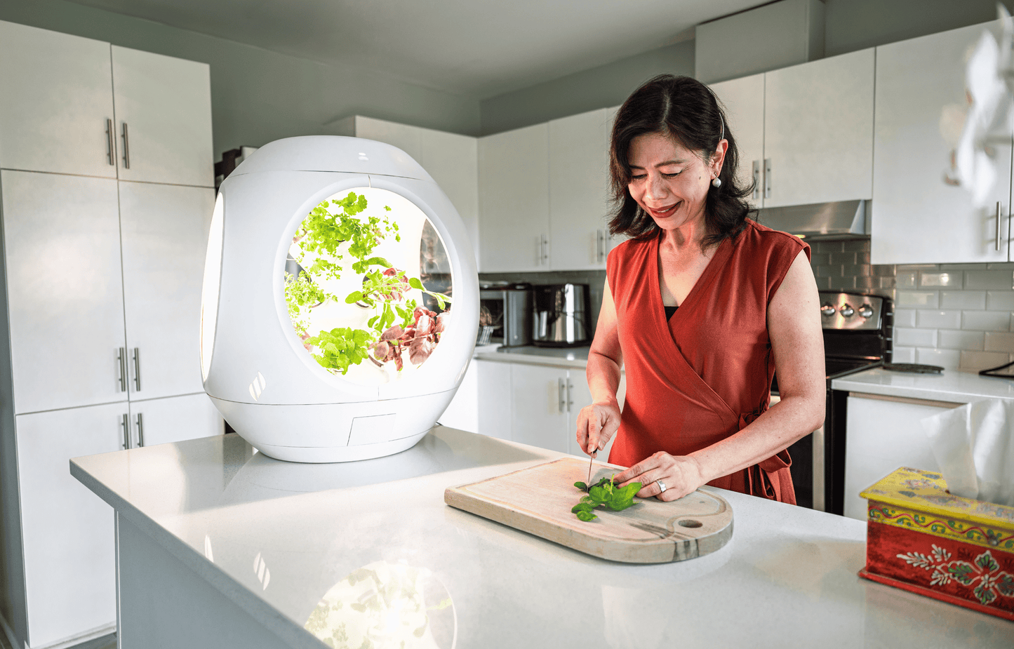 Rejuvenate by Plantaform Smart Indoor Garden. Rejuvenate grows vegetables, herbs, flowers, edible flowers, and plants.