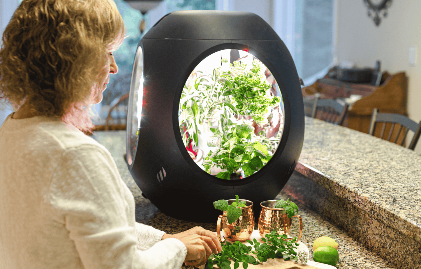 Rejuvenate by Plantaform Smart Indoor Garden. Rejuvenate grows vegetables, herbs, flowers, edible flowers, and plants.