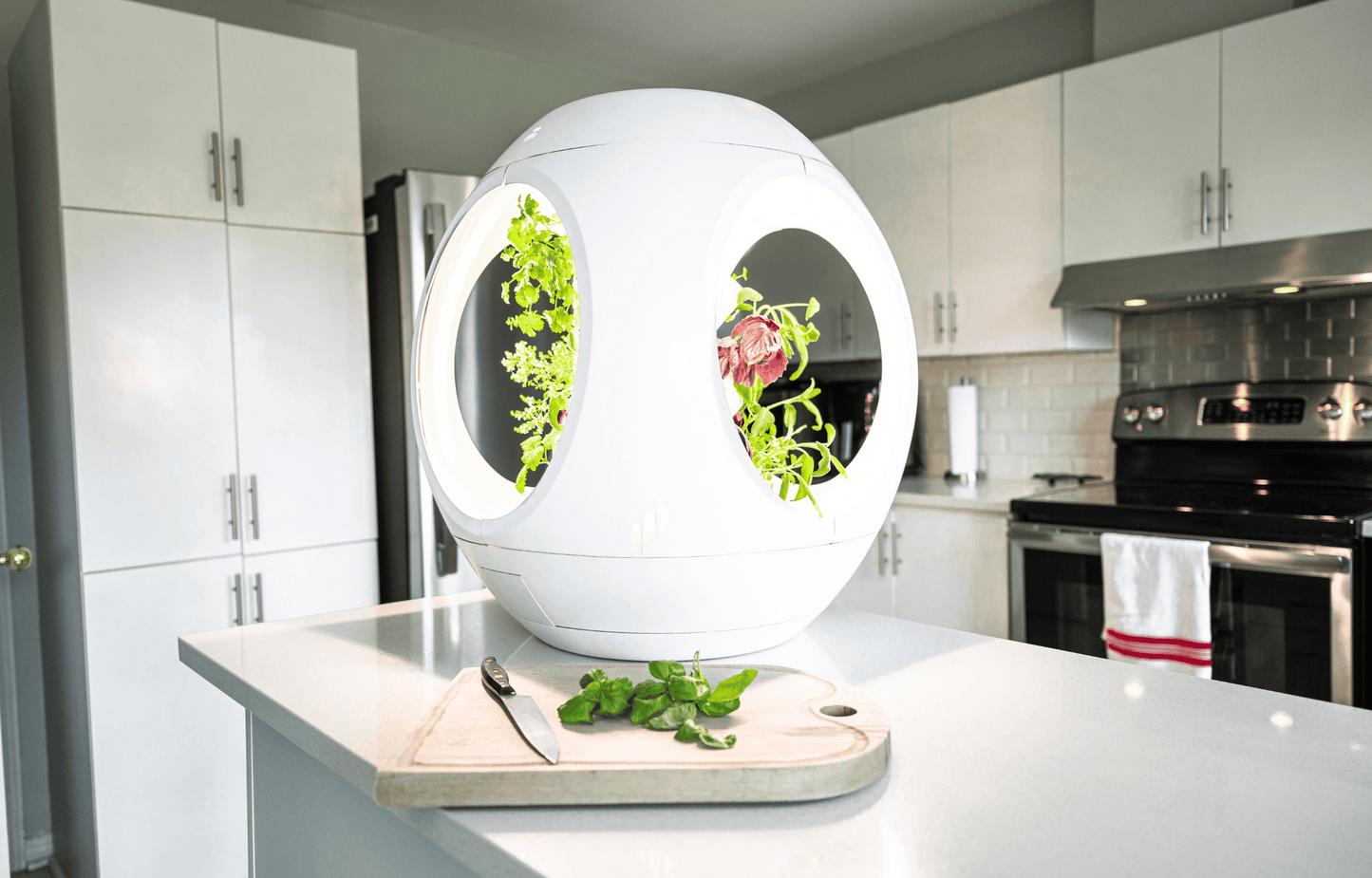 Rejuvenate by Plantaform Smart Indoor Garden. Rejuvenate grows vegetables, herbs, flowers, edible flowers, and plants.